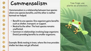 Commensalism is a relationship between two species
where one species benefits, and the other is neither
harmed nor helped.
• Benefit to one species: One organism gains benefits
such as shelter, transport, or support.
• Neutral to the other: The host species remains
unaffected.
• Common in relationships involving large organisms
(hosts) providing benefits to smaller organisms.
Example: Birds nesting in trees, where the tree provides
shelter but does not get affected.
Commensalism
 