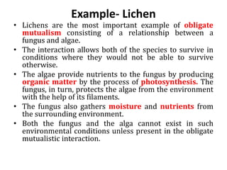 Example- Lichen
• Lichens are the most important example of obligate
mutualism consisting of a relationship between a
fungus and algae.
• The interaction allows both of the species to survive in
conditions where they would not be able to survive
otherwise.
• The algae provide nutrients to the fungus by producing
organic matter by the process of photosynthesis. The
fungus, in turn, protects the algae from the environment
with the help of its filaments.
• The fungus also gathers moisture and nutrients from
the surrounding environment.
• Both the fungus and the alga cannot exist in such
environmental conditions unless present in the obligate
mutualistic interaction.
 