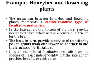 Example- Honeybee and flowering
plants
• The mutualism between honeybee and flowering
plants represents a service-resource type of
facultative mutualism.
• In the interaction, the flowers of the plant provide
nectar to the bee, which acts as a source of nutrients
for the bee.
• The bees, in turn, provide a service of transferring
pollen grains from one flower to another to aid
the process of fertilization.
• It is an example of facultative mutualism as the
species can exist independently, but the interaction
provides benefits to each other.
 