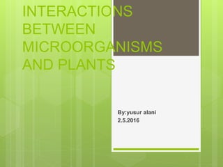 INTERACTIONS
BETWEEN
MICROORGANISMS
AND PLANTS
By:yusur alani
2.5.2016
 