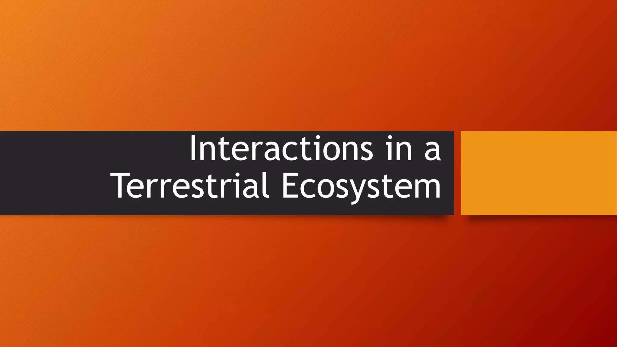 Interactions in a terrestrial ecosystem | PPT