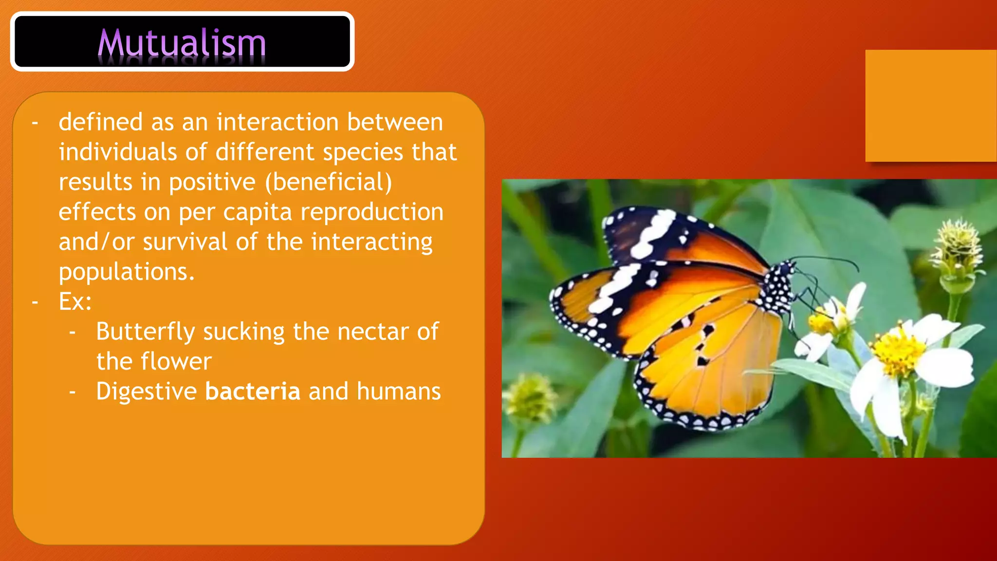 Interactions in a terrestrial ecosystem | PPT