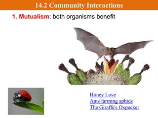 • There are three major types of symbiotic relationships.
Symbiosis In The Sea
14.2 Community Interactions
 