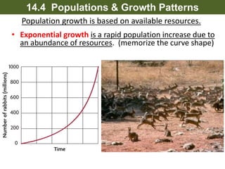Population growth is based on available resources.
Exponential growth is a rapid population increase due to an
abundance of resources. (memorize the curve shape)
14.4 Populations & Growth Patterns
 