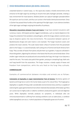 SYED MUHAMMAD KHAN (BS HONS. ZOOLOGY)
pg. 12
unwanted bacteria in several ways, i.e. the squid also creates a hostile environment at the
entrance to the light organ by secreting an enzyme that splits hydrogen peroxide, creating a
toxic environment for most bacteria. Aliivibrio fischeri can capture hydrogen peroxide before
the squid can use it as a toxin, and thus can survive in the hostile chemical environment. Once
A. fischeri has passed these hurdles at the opening of the light organ, it can colonize chambers
of the light organ and begin enjoying the benefits of symbiosis.
Mutualistic Associations between Fungi and Insects: Fungi have evolved mutualisms with
numerous insects. Arthropods (jointed, legged invertebrates, such as insects) depend on the
fungus for protection from predators and pathogens, while the fungus obtains nutrients and a
way to disperse spores into new environments. The association between species of
Basidiomycota (fungi) and scale insects is one example. The fungal mycelium covers and
protects the insect colonies. The scale insects foster a flow of nutrients from the parasitized
plant to the fungus. In a second example, leaf-cutting ants of Central and South America farm
fungi. They cut disks of leaves from plants and pile them up in gardens. Fungi are cultivated in
these disk gardens, digesting the cellulose in the leaves that the ants cannot break down. Once
smaller sugar molecules are produced and consumed by the fungi, the fungi in turn become a
meal for the ants. The insects also patrol their garden, preying on competing fungi. Both ants
and fungi benefit from the association. The fungus receives a steady supply of leaves and
freedom from competition, while the ants feed on the fungi they cultivate.
COMMENSALISM
Examples of commensalism between microbes and animals are as follows:
Colonization of Aspergillus in Upper Gastrointestinal Tract of Humans: Numerous genera of
bacteria and fungi live on and in the human body as part of its natural flora. The fungal genus
Aspergillus is capable of living under considerable environmental stress and thus is capable of
colonizing the upper gastrointestinal tract where relatively few examples of the body's gut flora
can survive due to highly acidic or alkaline conditions produced by gastric acid and digestive
juices. While Aspergillus normally produces no symptoms, in individuals who are
immunocompromised or suffering from existing conditions such as tuberculosis, a condition
called aspergillosis can occur, in which populations of Aspergillus grow out of control.
 