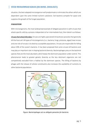 SYED MUHAMMAD KHAN (BS HONS. ZOOLOGY)
pg. 5
situation, the best-adapted microorganism will predominate or eliminate the others which are
dependent upon the same limited nutrient substance. Soil bacteria compete for space and
suppress the growth of the fungal population.
PARASITISM
With microorganisms, the most widespread example of obligate parasitism is with viruses that
attack specific cells by a process independent of an intermediate host, their detail is as follows:
Viruses that attack Microbes: Viruses are highly specialized intracellular parasites that generally
kill the host cell. All types of microorganisms (i.e., bacteria, fungi, protozoa, algae) have viruses
and one role of viruses is to destroy susceptible populations. Viruses are responsible for killing
about 20% of the ocean’s bacteria. It has been proposed that some viruses kill bacteria and
may play an important role in shaping bacterial diversity. Bacteriophages prey on the bacterial
species that are the most abundant, which keeps the dominant population under control. This
phenomenon leads to greater genetic diversity as the less dominant organisms are not
competitively excluded from a habitat by the dominant species. The killing of bacteria by
phages with the release of cellular constituents also increases the availability of nutrients to
other bacterial populations.
Figure: Bacteriophages act as obligate parasites for bacteria.
 
