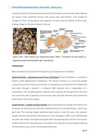 SYED MUHAMMAD KHAN (BS HONS. ZOOLOGY)
pg. 8
succinate, and the rhizobia provide ammonia for the formation of amino acids. Many legumes
are popular crops specifically because they require very little fertilizer: their rhizobia fix
nitrogen for them. Used properly some legumes can even serve as fertilizer for later crops,
binding nitrogen in the plant remains in the soil.
Figure: Left – Root nodules of a leguminous plant. Right – Formation of root nodules in
leguminous plants by Rhizobium spp. (mutualistic).
PARASITISM
Many microbes act as parasites for host plants, some examples are as follows:
Bacterial Parasite – Agrobacterium and Crown Gall Disease: Crown Gall Disease is caused by a
bacteria called Agrobacterium tumefaciens. The disease manifests as a tumor-like growth
usually at the junction of the root and shoot. A. tumefaciens can transfer part of its DNA to the
host plant, through a plasmid – a bacterial DNA molecule that is independent of a
chromosome. The new DNA segment integrates semi-randomly into the genome of the plant
and causes the plant to produce unusual amino acids and plant hormones that provide the
bacteria with carbon and nitrogen.
Fungal Parasite – Ustillago and Smut Disease: Spores (teliospores) of Ustilago tritici (loose smut
of wheat) are carried by the wind from infected wheat ears to healthy flowers, where they
germinate. The resulting hyphae penetrate lower ovaries. Inside the ovary, the mycelium
spreads and becomes dormant and remains so in the seed (grain). When such infected seeds
are sown next season, the hyphae also grow within the growing plant and form smut spores
inside the kernel, thus destroying them completely. The covering of the grain breaks exposing
the black spores mass, which may be dispersed by wind.
 