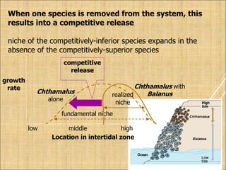 growth
rate
Location in intertidal zone
low high
middle
Chthamalus
alone
When one species is removed from the system, this
results into a competitive release
niche of the competitively-inferior species expands in the
absence of the competitively-superior species
fundamental niche
realized
niche
Chthamalus with
Balanus
competitive
release
 