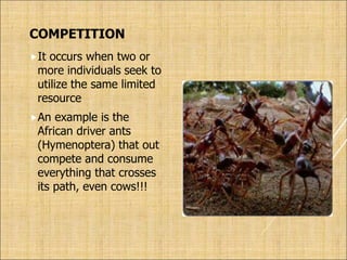 COMPETITION
It occurs when two or
more individuals seek to
utilize the same limited
resource
An example is the
African driver ants
(Hymenoptera) that out
compete and consume
everything that crosses
its path, even cows!!!
 