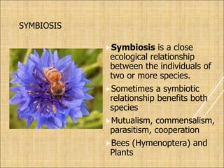 SYMBIOSIS
Symbiosis is a close
ecological relationship
between the individuals of
two or more species.
Sometimes a symbiotic
relationship benefits both
species
Mutualism, commensalism,
parasitism, cooperation
Bees (Hymenoptera) and
Plants
 