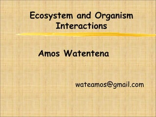 Ecosystem and Organism
Interactions
Amos Watentena
wateamos@gmail.com
 