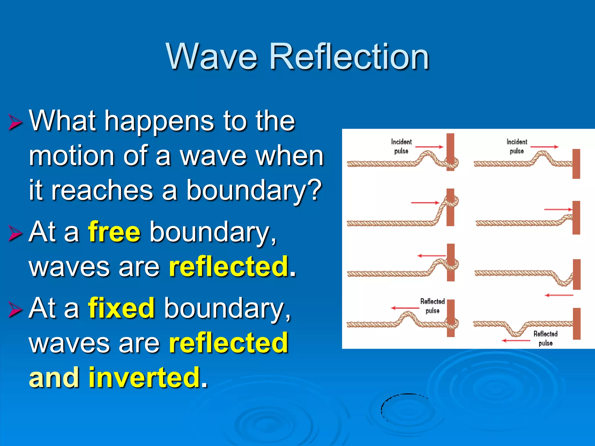 Wave Reflection
 What   happens to the
  motion of a wave when
  it reaches a boundary?
 At a free boundary,
  waves are reflected.
 At a fixed boundary,
  waves are reflected
  and inverted.
 