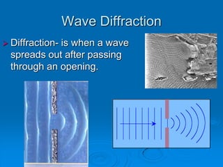 Wave Diffraction
 Diffraction-
             is when a wave
  spreads out after passing
  through an opening.
 