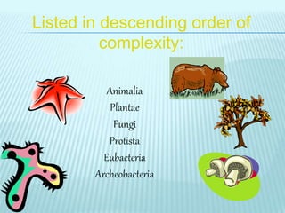 Listed in descending order of
complexity:
Animalia
Plantae
Fungi
Protista
Eubacteria
Archeobacteria
 
