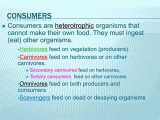CONSUMERS
 Consumers are heterotrophic organisms that
cannot make their own food. They must ingest
(eat) other organisms.
-Herbivores feed on vegetation (producers).
-Carnivores feed on herbivores or on other
carnivores.
 Secondary carnivores feed on herbivores,
 Tertiary consumers feed on other carnivores
-Omnivores feed on both producers and
consumers
-Scavengers feed on dead or decaying organisms
 