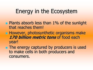 Energy in the Ecosystem
 Plants absorb less than 1% of the sunlight
that reaches them!
 However, photosynthetic organisms make
170 billion metric tons of food each
year!
 The energy captured by producers is used
to make cells in both producers and
consumers.
 