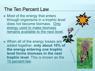 The Ten Percent Law
 Most of the energy that enters
through organisms in a trophic level
does not become biomass. Only
energy used to make biomass
remains available to the next level.
 When all of the energy losses are
added together, only about 10% of
the energy entering one trophic
level forms biomass in the next
trophic level. This is known as the
10 percent law.
 