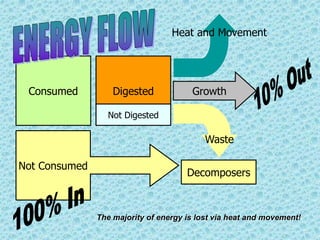 Consumed Digested
Not Digested
Growth
Waste
Heat and Movement
Not Consumed
Decomposers
The majority of energy is lost via heat and movement!
 