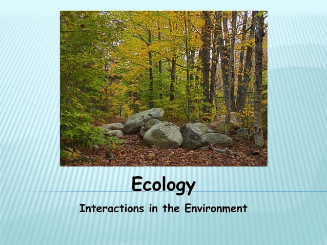 Interactions Ppt Ppt Geography Science