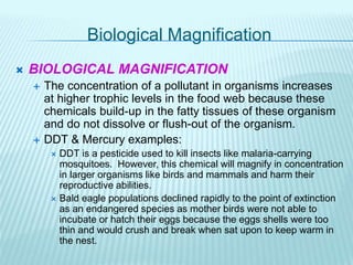 Biological Magnification
 BIOLOGICAL MAGNIFICATION
 The concentration of a pollutant in organisms increases
at higher trophic levels in the food web because these
chemicals build-up in the fatty tissues of these organism
and do not dissolve or flush-out of the organism.
 DDT & Mercury examples:
 DDT is a pesticide used to kill insects like malaria-carrying
mosquitoes. However, this chemical will magnify in concentration
in larger organisms like birds and mammals and harm their
reproductive abilities.
 Bald eagle populations declined rapidly to the point of extinction
as an endangered species as mother birds were not able to
incubate or hatch their eggs because the eggs shells were too
thin and would crush and break when sat upon to keep warm in
the nest.
 