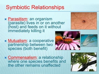  Parasitism: an organism
(parasite) lives in or on another
(host) and feeds on it without
immediately killing it
 Mutualism: a cooperative
partnership between two
species (both benefit)
 Commensalism: a relationship
where one species benefits and
the other remains unaffected
Symbiotic Relationships
 