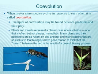 Coevolution
 When two or more species evolve in response to each other, it is
called coevolution.
 Examples of coevolution may be found between predators and
their prey.
 Plants and insects represent a classic case of coevolution — one
that is often, but not always, mutualistic. Many plants and their
pollinators are so reliant on one another and their relationships are
so exclusive that biologists have good reason to think that the
“match” between the two is the result of a coevolutionary process.
 