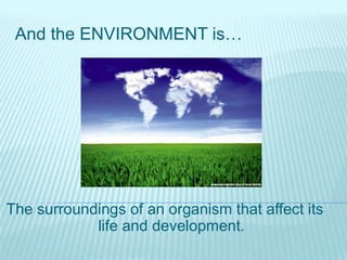 And the ENVIRONMENT is…
The surroundings of an organism that affect its
life and development.
 