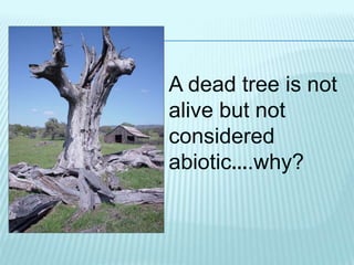 A dead tree is not
alive but not
considered
abiotic….why?
 
