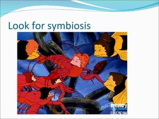 Look for symbiosis 