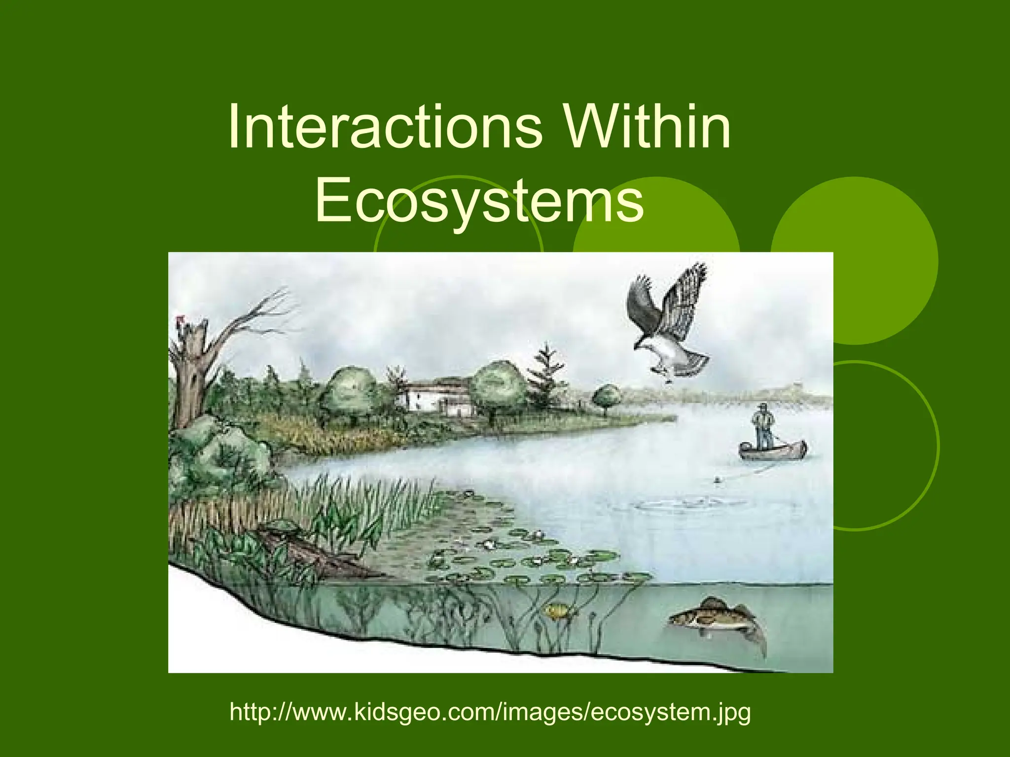 Interactions Within
Ecosystems
http://www.kidsgeo.com/images/ecosystem.jpg
 