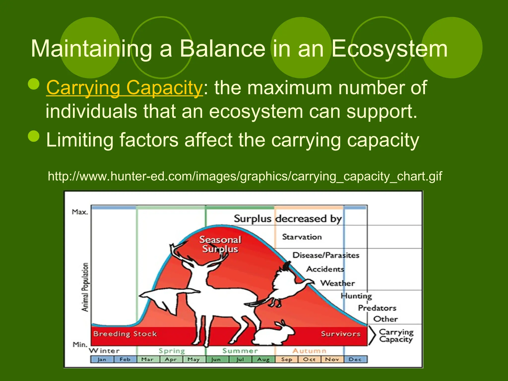 Maintaining a Balance in an Ecosystem
Carrying Capacity: the maximum number of
individuals that an ecosystem can support.
Limiting factors affect the carrying capacity
http://www.hunter-ed.com/images/graphics/carrying_capacity_chart.gif
 