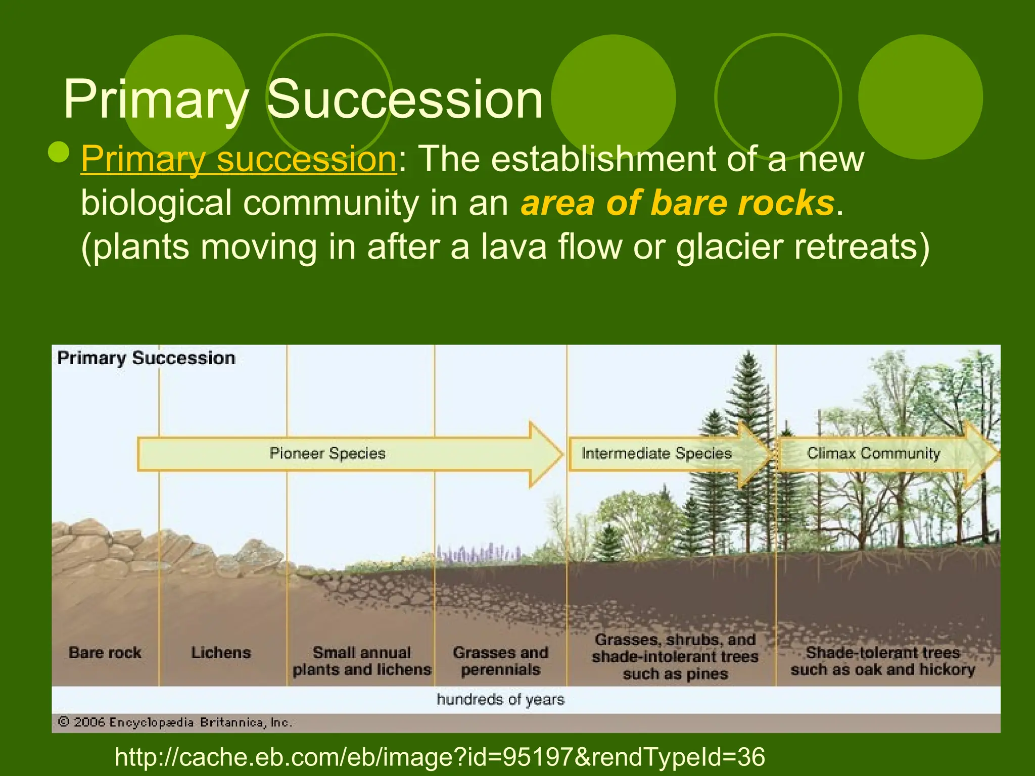 Primary Succession
Primary succession: The establishment of a new
biological community in an area of bare rocks.
(plants moving in after a lava flow or glacier retreats)
http://cache.eb.com/eb/image?id=95197&rendTypeId=36
 