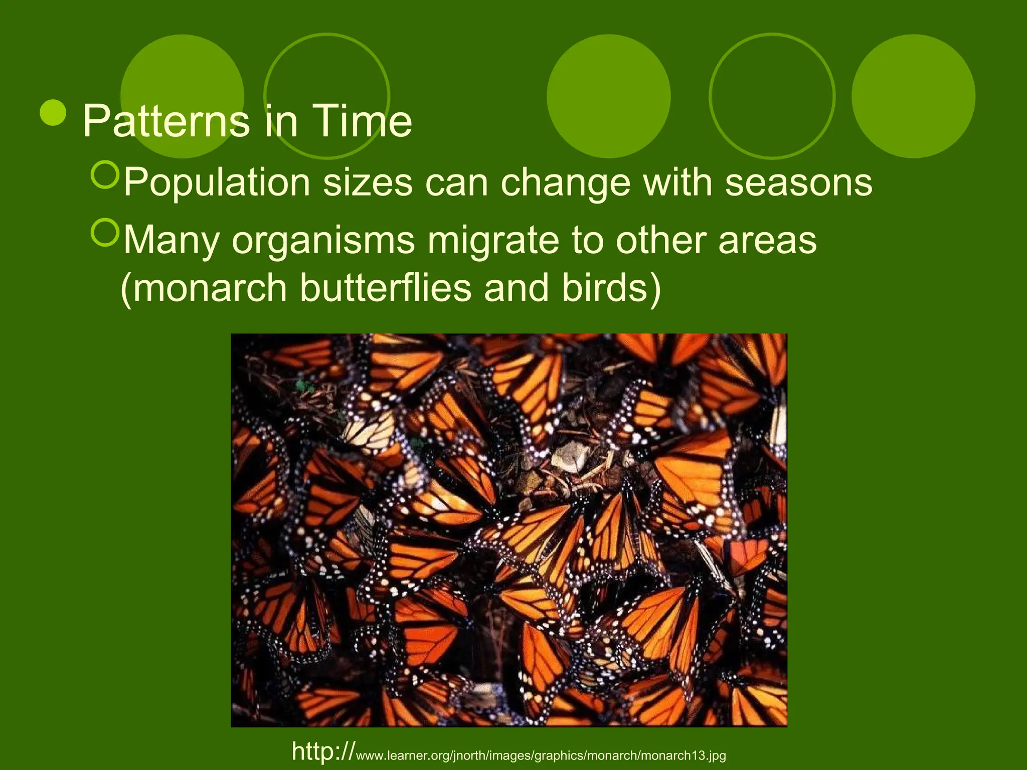 Patterns in Time
Population sizes can change with seasons
Many organisms migrate to other areas
(monarch butterflies and birds)
http://www.learner.org/jnorth/images/graphics/monarch/monarch13.jpg
 