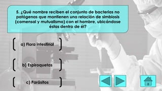 a) Flora intestinal
5. ¿Qué nombre reciben el conjunto de bacterias no
patógenas que mantienen una relación de simbiosis
(comensal y mutualismo) con el hombre, ubicándose
éstas dentro de él?
b) Espiroquetas
c) Parásitos
 