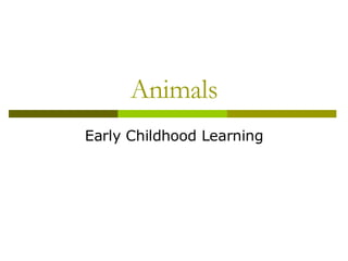 Animals Early Childhood Learning 