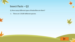 Insect Facts – Q1
Q. How many different types of butterflies are there?
A. There are 110,00 different species.
 