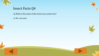 Insect Facts Q4
Q. What is the name of the insect you cannot see?
A. No- see-ums
 