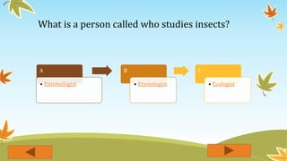What is a person called who studies insects?
A
• Entomologist
B
• Etymologist
C
• Ecologist
 