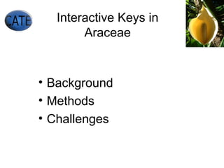 Interactive Keys in Araceae ,[object Object],[object Object],[object Object]
