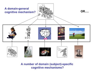 A domain-general cognitive mechanism? A number of domain (subject)-specific  cognitive mechanisms? OR…. 