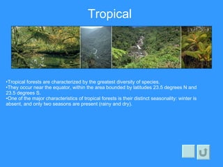 Interactive Powerpoint Biomes | PPT