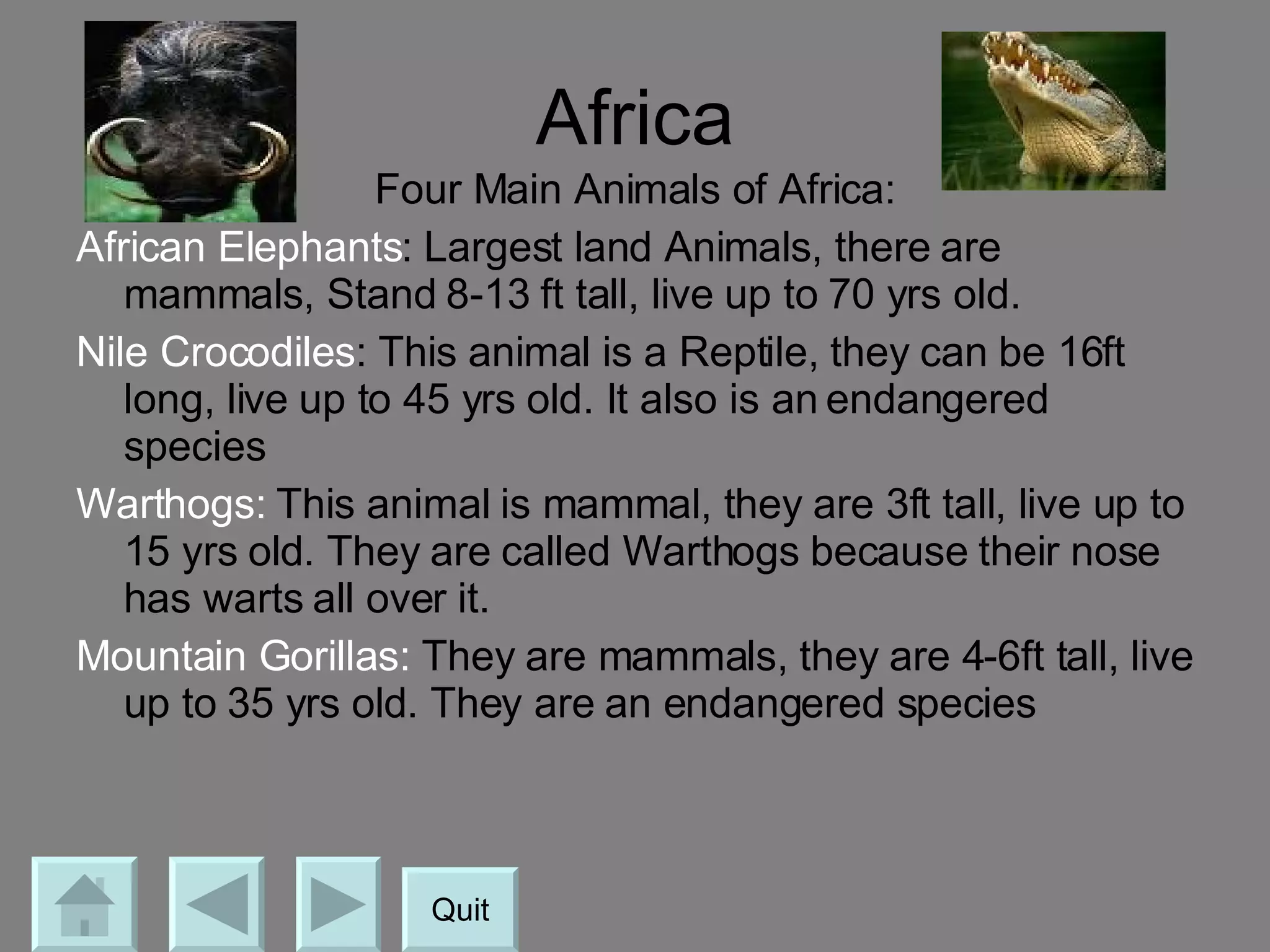 Africa Four Main Animals of Africa: African Elephants : Largest land Animals, there are mammals, Stand 8-13 ft tall, live up to 70 yrs old. Nile Crocodiles : This animal is a Reptile, they can be 16ft long, live up to 45 yrs old. It also is an endangered species Warthogs:  This animal is mammal, they are 3ft tall, live up to 15 yrs old. They are called Warthogs because their nose has warts all over it. Mountain Gorillas:  They are mammals, they are 4-6ft tall, live up to 35 yrs old. They are an endangered species Quit 