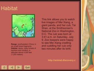 Habitat This link allows you to watch live images of Mei Xiang, a giant panda, and her cub, Tai Shan, at the Smithsonian's National Zoo in Washington, D.C. The cub was born at 3:41 a.m. on Saturday, July 9. Zoo keepers were happy to see Mei Xiang cradling and cuddling her cub only two minutes after its birth.   http://animal.discovery.com/cams/pandavidr.html Quit Range:  southwestern China, in six small forest fragments Habitat:  damp, misty forests of bamboo and conifers, in altitudes above 4,000 feet (1,200 meters) 
