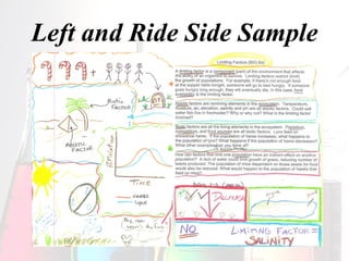 Left and Ride Side Sample 