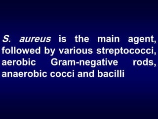 S. aureus is the main agent,
followed by various streptococci,
aerobic
Gram-negative
rods,
anaerobic cocci and bacilli

 