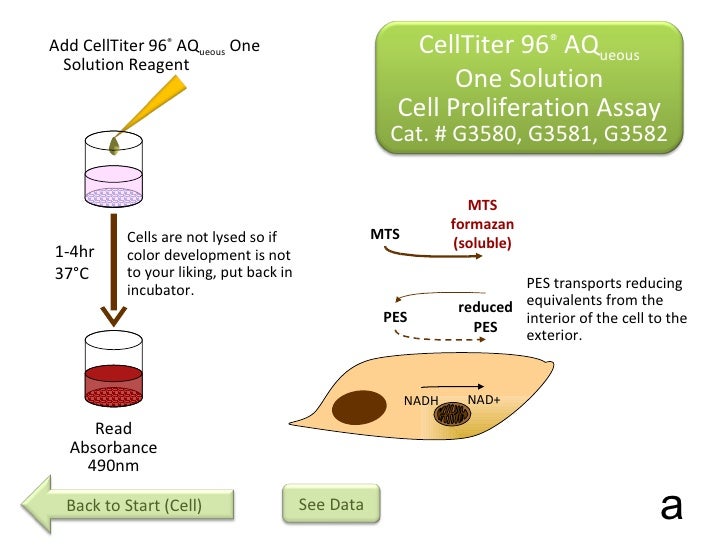 interactive cell analysis compressed mts assay
