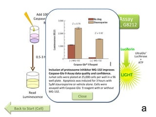proCsp 9 Csp 9 LEHD-Luciferin LEHD  +  Luciferin Add 100µl of  Caspase-Glo ®  9  Reagent Read  Luminescence 0.5-3 hours UltraGlo ® Luciferase + ATP LIGHT Reagent lyses cells and measures active Caspase 9 activity. MG-132 inhibitor present to inhibit caspase-like proteasome activity a Caspase-Glo ®  9 Assay Cat. # G8210, G8211, G8212 Back to Start (Cell) Inclusion of proteasome inhibitor MG-132 improves Caspase-Glo 9 Assay data quality and confidence.  Jurkat cells were plated at 25,000 cells per well in a 96 well plate.  Apoptosis was induced for 3 hours with 5µM staurosporine or vehicle alone. Cells were assayed with Caspase-Glo  9 reagent with or without MG-132. Close 