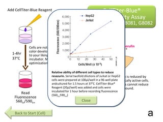 1-4hr 37°C Add CellTiter-Blue Reagent Read Fluorescence 560 Ex /590 Em Cells are not lysed so if color development is not to your liking, put back in incubator. May need optimization. Resazurin Resorufin Resazurin is reduced by metabolically active cells.  Dead cells cannot reduce the compound. Reducing Enzymes a CellTiter-Blue® Cell Viability Assay Cat. # G8080, G8081, G8082 Back to Start (Cell) Relative ability of different cell types to reduce resazurin.  Serial twofold dilutions of Jurkat or HepG2 cells were prepared at 100µl/well in a 96-well plate andcultured for 1.5 hours at 37°C. CellTiter-Blue® Reagent (20µl/well) was added and cells were incubated for 1 hour before recording fluorescence (560 Ex/ 590 Em ) Close 