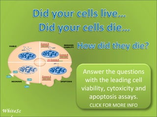 WhiteSci Answer the questions with the leading cell viability, cytoxicity and apoptosis assays. CLICK FOR MORE INFO 