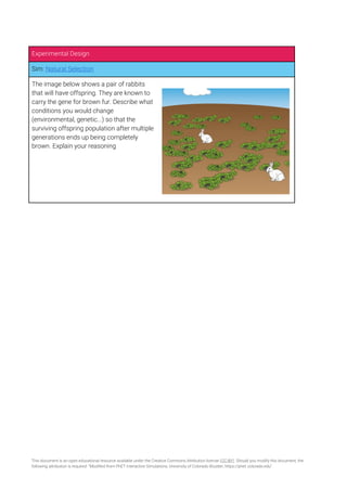 Interactive Lecture Demonstrations Guideline.pdf